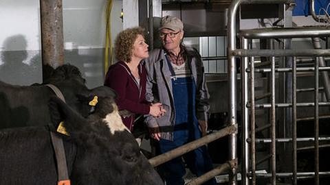 Karl und Bea im Kuhstall, im Vordergrund eine Kuh (Foto: SWR, SWR/Stephanie Schweigert -)