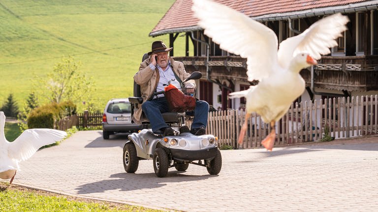 Hermann in seinem Scooter, vor ihm fliegt eine Ganz in die Höhe (Foto: SWR, d:light/Christian Koch)