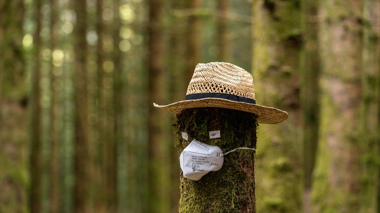 Baumstumpf mit Maske und Strohhut (Foto: SWR, d:light/Christian Koch)