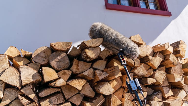 Puschelmikro lehnt an Holzstapel (Foto: SWR, d:light/Christian Koch)