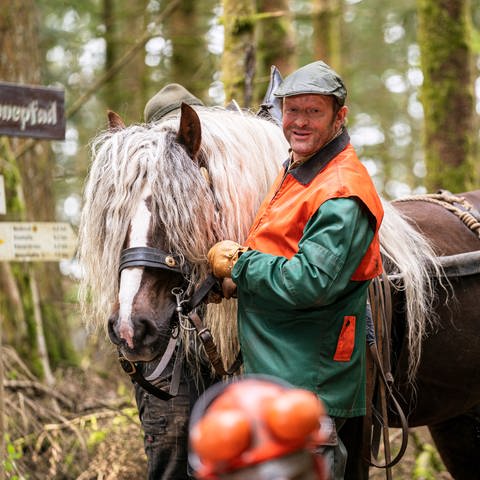 Bernd mit Findus, seinem Rückepferd, im Wald (Foto: SWR, d:light / Christian Koch)
