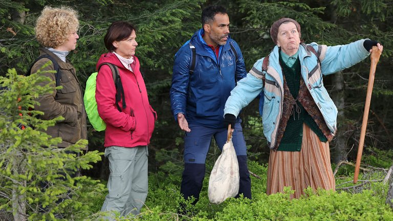 Bea, Simone, Steffen und Lioba beim Waldbaden (Foto: SWR, Johannes Krieg)