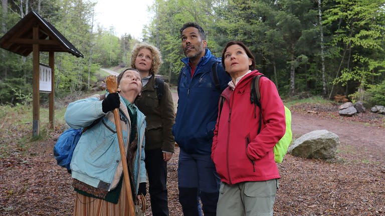 Simone, Steffen, Bea und Lioba auf einem Waldweg (Foto: SWR, Johannes Krieg)