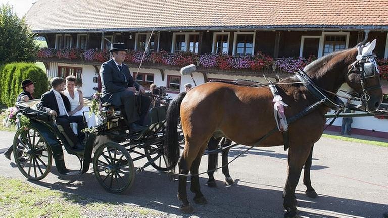 Eva und Andreas sitzen in der Hochzeitskutsche, die von einem Pferd gezogen wird (Foto: SWR, SWR/Stephanie Schweigert -)