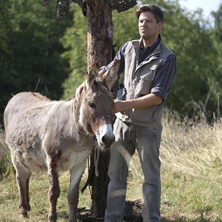 Andreas steht bei einem verletzten Esel, der an einem Baum festgebunden ist (Foto: SWR, SWR/Martin Furch -)