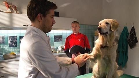 Karl ist mit Willy beim Tierarzt (Foto: SWR, SWR/Michael Ciesielski -)