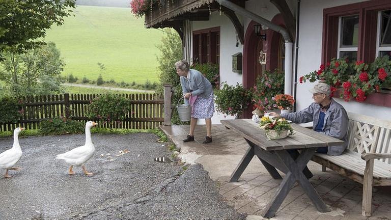 Johanna füttert Gänse, Karl sitzt am Tisch bei Kaffee und Kuchen (Foto: SWR, SWR/Alexander Kluge -)