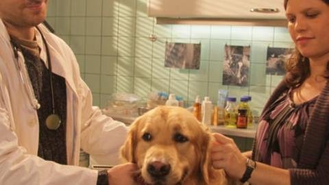 Eva ist mit einem Hund beim Tierarzt (Foto: SWR, SWR/Lorenz Pagés -)