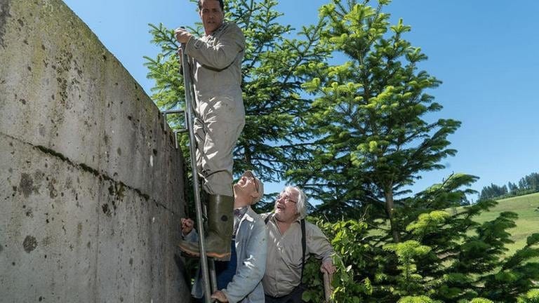 Matthias steht oben auf der Leiter zum Gülletank, Karl und Hermann stehen unten (Foto: SWR, SWR/Stephanie Schweigert -)