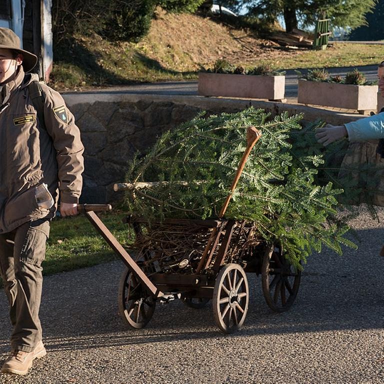Sebastian zieht den Holzwagen hinter sich her, darin liegt ein kleiner Tannenbaum, Lioba begleitet ihn (Foto: SWR, SWR/Stephanie Schweigert -)