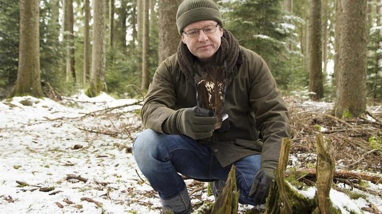 Bernhard im Wald. Er hockt vor einem Baum und hält Federn in der Hand. (Foto: SWR, SWR/Michael Ciesielski -)