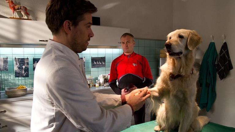 Andreas untersucht Hofhund Willy, im Hintergrund steht Karl und sieht ihm zu (Foto: SWR, SWR/Michael Ciesielski -)