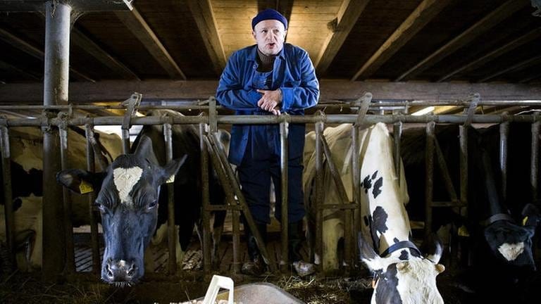 Toni bei den Kühen im fallerschen Stall (Foto: SWR, SWR/Martin Furch -)