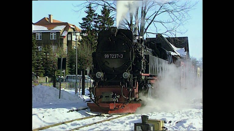Harzquerbahn (Foto: SWR, SWR -)