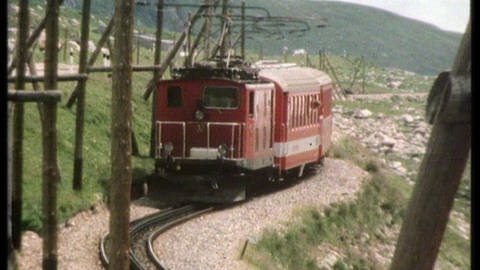 Der Glacier-Express (Foto: SWR)