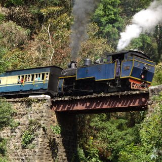 Toy train nennen die Inder die Nilgiri Mountain Railway (Foto: SWR, SWR - Alexander Schweitzer)