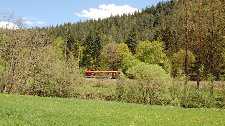 Die Nagoldtalbahn, auch Kulturbahn genannt, auf ihrem Weg nach Weissenstein. (Foto: SWR, Bettina Bansbach)