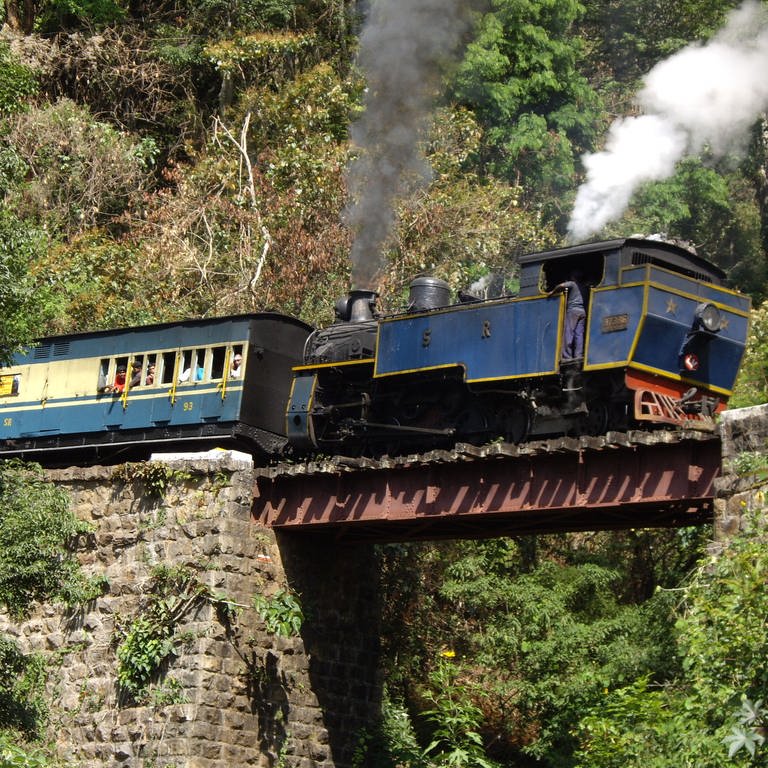 Toy Train nennen die Inder die Nilgiri Mountain Railway (Foto: SWR)