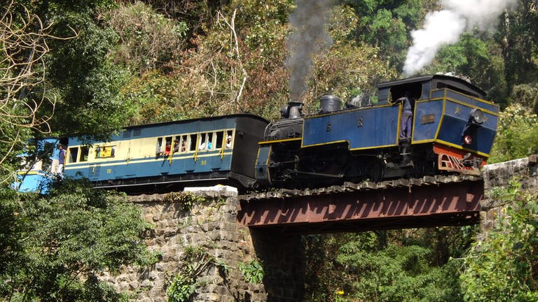 Toy Train nennen die Inder die Nilgiri Mountain Railway (Foto: SWR)