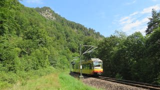 Murgtalbahn (Foto: SWR)