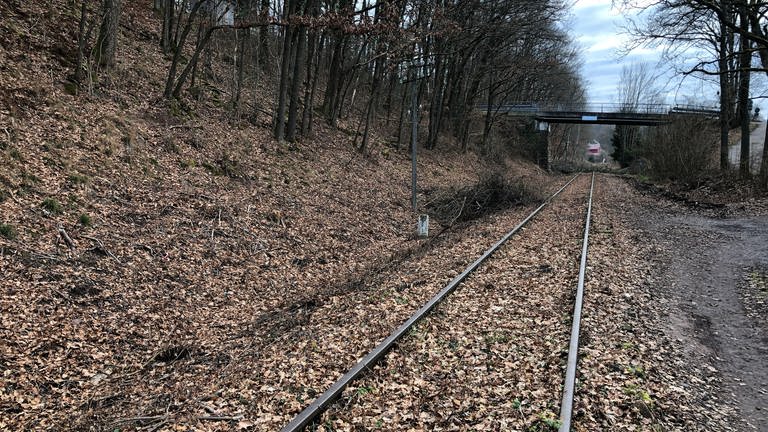 Zwischen Calw und Althengstett befand sich einst die erste zweigleisige Strecke im Königreich Württemberg von Anfang an.  (Foto: SWR, Alexander Schweitzer)