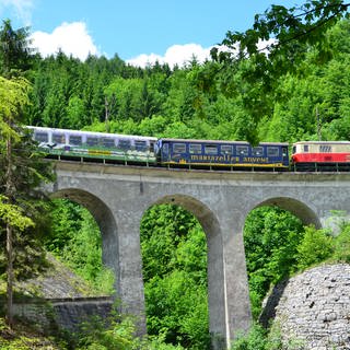 Mariazellerbahn (Foto: SWR, Harald Kirchner)