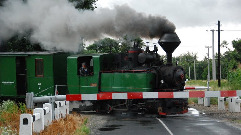 Dies ist eine besondere Bahn, denn auf ihr dürfen Kinder und Jugendliche den Bahnbetrieb üben. (Foto: SWR, Harald Kirchner)
