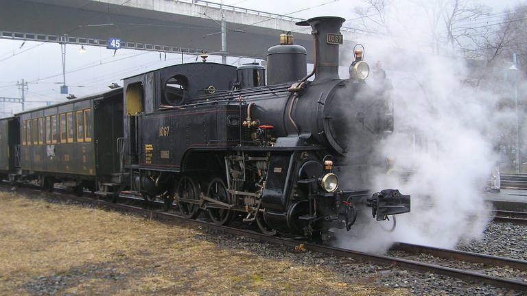 Schmalspur Dampfsonderzug der Ballenberg-Bahn. (Foto: SWR, Wolfgang Drichelt)