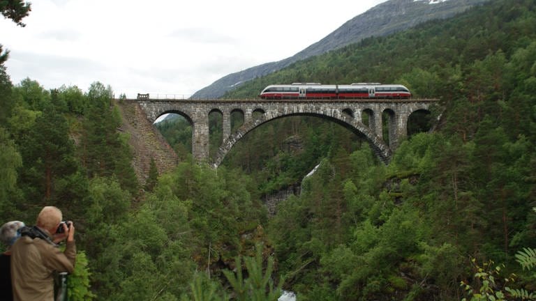 Schienenkreuzfahrt Norwegen (Foto: SWR)