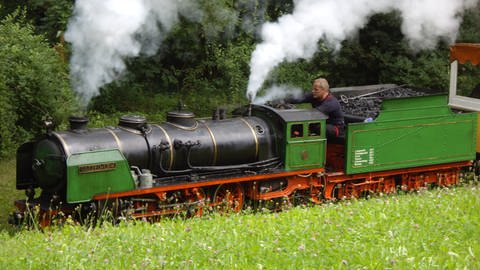 Tazzelwurm - Killesberg Kleinbahn (Foto: SWR, SWR - Alexander Schweitzer)