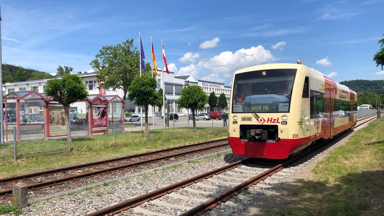 Als Biberbahn soll die neue Bahnverbindung in den Sommermonaten an Sonn- und Feiertagen Touristen anlocken.  (Foto: SWR, Alexander Schweitzer)