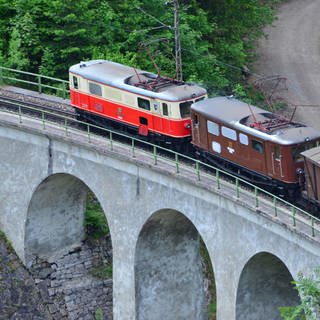 Mariazellerbahn (Foto: SWR, Harald Kirchner)