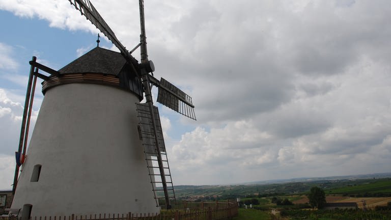 Windmühle bei Retz (Foto: SWR,  Harald Kirchner)