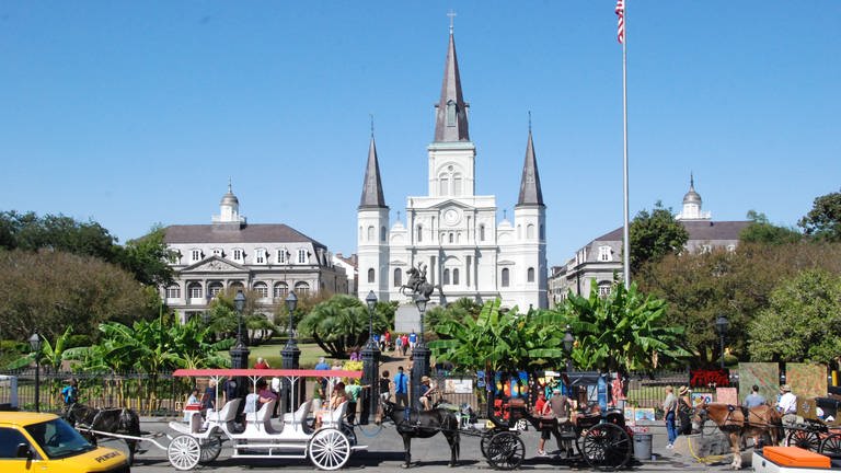 New Orleans (Foto: SWR, Andreas Stirl)