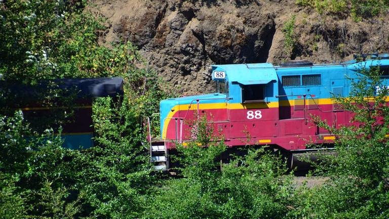 Die Diesellok aus den fünfziger Jahren schiebt den kurzen Zug aus dem Bahnhof. Nach einer – gut im Wald versteckten – Spitzkehre setzt sich die Maschine an die Spitze des Zuges. (Foto: SWR, SWR - Harald Kirchner)