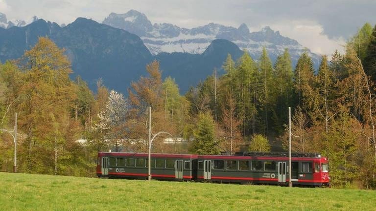 Rittnerbahn am Haltepunkt Lichtenstern (Foto: SWR, SWR - Alexander Schweitzer)