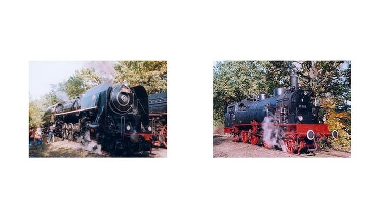 (v.l.): Tschechische Staatsbahn CD 475 ; 75 1118 der Ulmer Eisenbahnfreunde (Foto: SWR, SWR -)