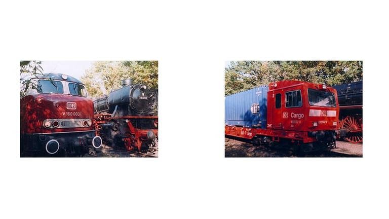 (v.l.): Dampf und Diesel ;  VT 690 002  502 (Foto: SWR, SWR -)