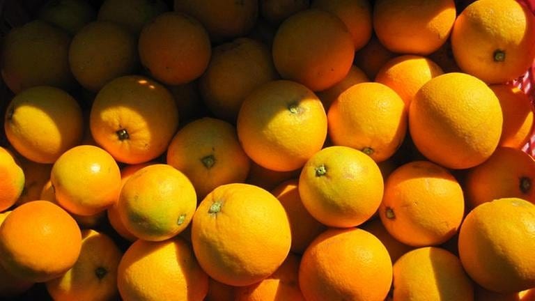 Orangen – Exportschlager von Mallorca (Foto: SWR, SWR - Susanne Mayer-Hagmann)