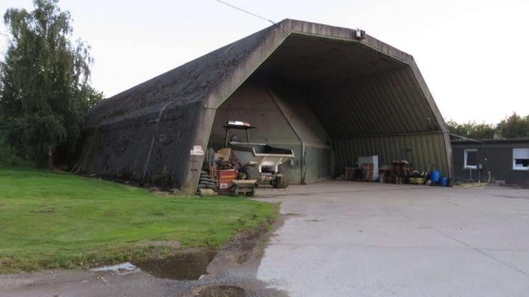 Ein einziger Bunker ist übriggeblieben von der britischen Besatzungszeit. (Foto: SWR, SWR - Bernhard Foos)
