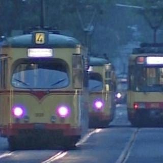 Karlsruhe besitzt das modernste Nahverkehrsnetz der Welt. (Foto: SWR, SWR -)