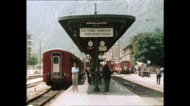 Der Glacier-Express (Foto: SWR, SWR -)