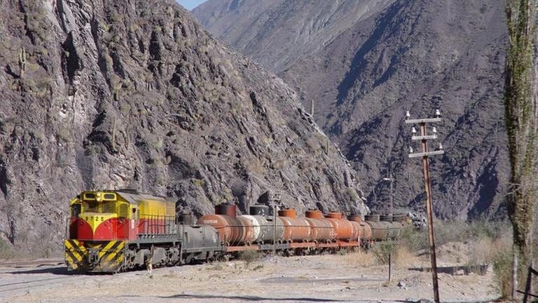 Argentinischer Güterzug unterwegs (Foto: SWR, SWR -)