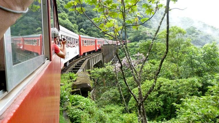 Serra Verde Express im Regenwald (Foto: SWR, SWR - Alexander Schweitzer)