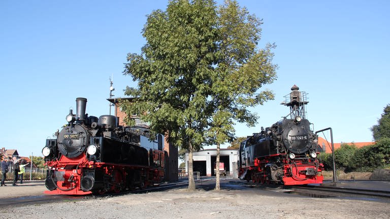 Lokomotiven in Wernigerode (Foto: SWR, Wolfgang Drichelt)