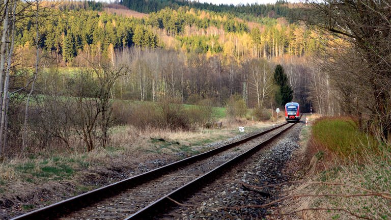 Nationalparkbahn Waldidylle (Foto: SWR, Grit Merten)