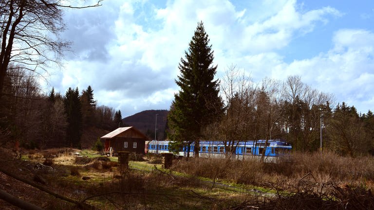 Zug bei Jedlova auf den Weg nach Rumburk (Foto: SWR, Grit Merten)