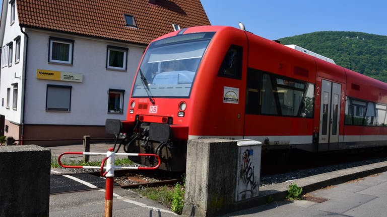 Attribute einer Kleinbahn (Foto: SWR, Harald Kirchner)