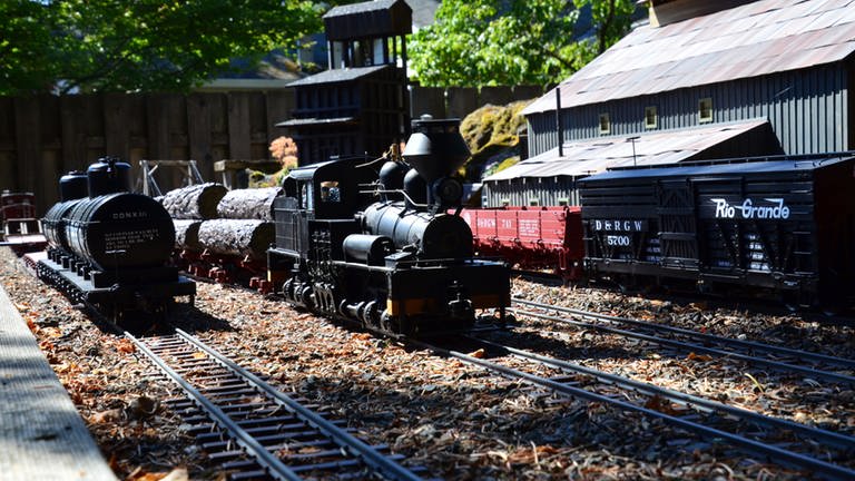 Die Lone Pine & Western Railroad - Nur eine Gartenbahn, aber sieht sie nicht so aus, als ob man einer realen Dampflok gegenübersteht? (Foto: SWR, Harald Kirchner)