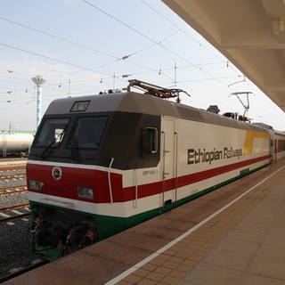 Die Elektrolokomotiven für Personenzüge erkennt man an der grünen Schürze. (Foto: SWR, Rüdiger Lorenz)